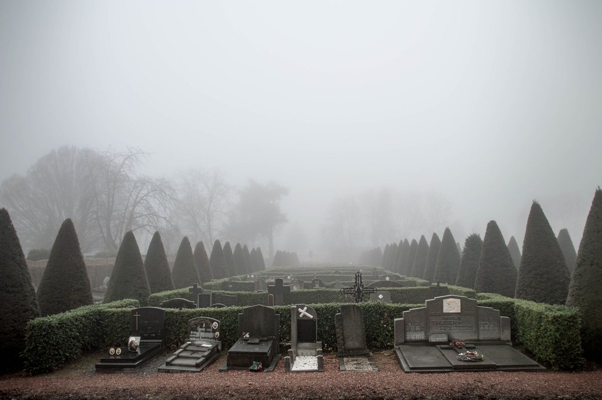 Ruhiger Friedhof mit Baumreihen