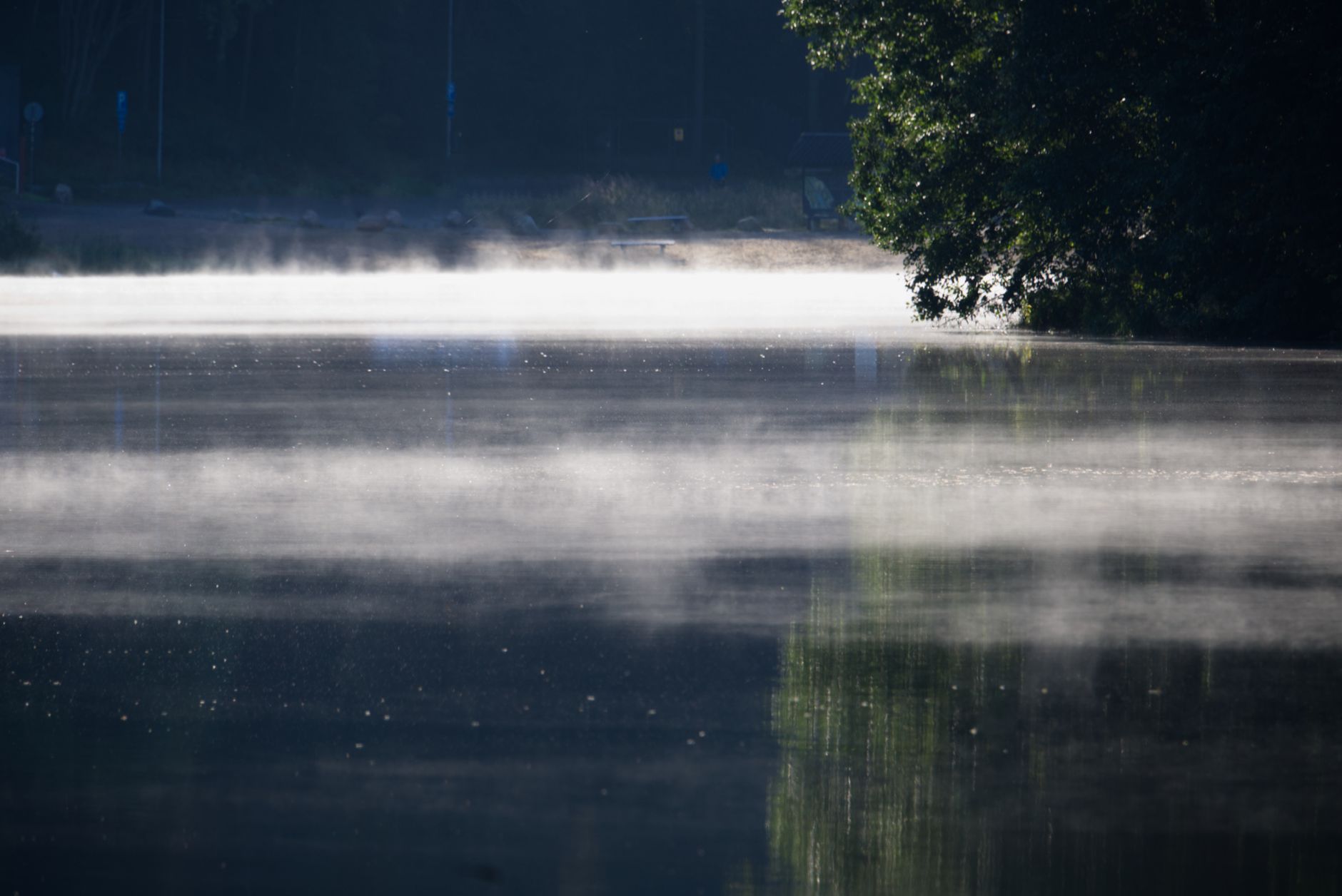 Stiller Waldsee im Morgennebel
