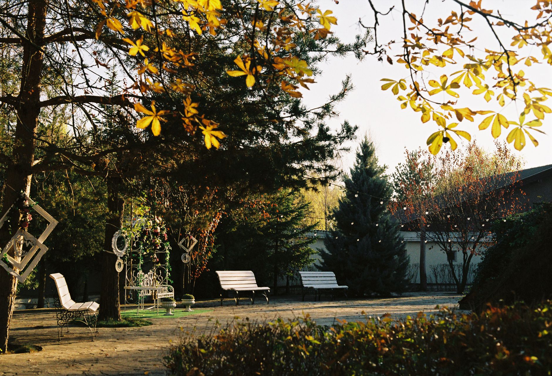 Eine stille weiße Bank unter einem Baum in einem grünen Park