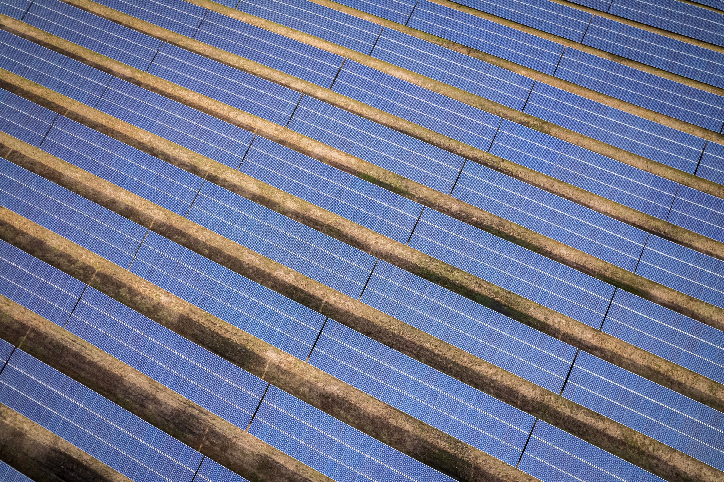 Dichte Photovoltaik-Modulreihen in der Sonne